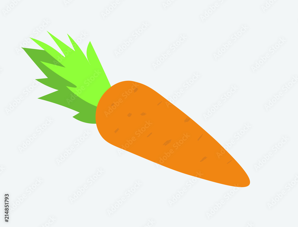 Isolated Carrot. Vector Illustration. Isolated Carrot. Vector Illustration.