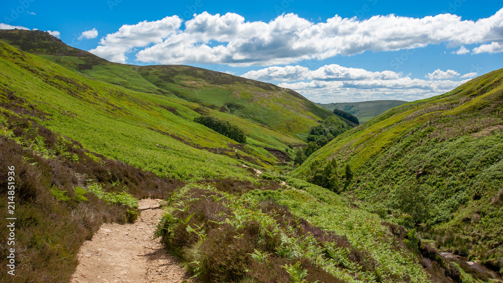 Fototapeta premium Grindsbrook in Summer