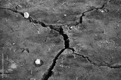 cracked earth, Hot summer. Waterless concept, global warming, drought, natural background photo