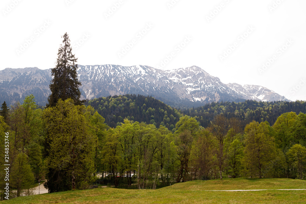landscape in the Alps with snow-capped mountain peaks in the background, Bavaria, Germany