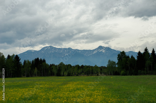 landscape in the Alps with fresh green meadows and snow-capped mountain peaks in the background, Bavaria, Germany