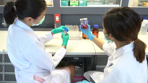 Wallpaper Mural Asian scientist working in the lab,Thailand people,Experiment science and calculate the value,Researchers are research to find the results the experiment of Ophiocordyceps sinensis	 Torontodigital.ca