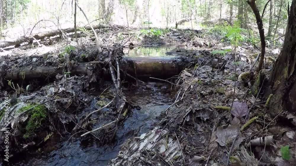 Small creeking flowing over a log after the spring thaw. Awesome time of year! Small creeking flowing over a log after the spring thaw. Awesome time of year!