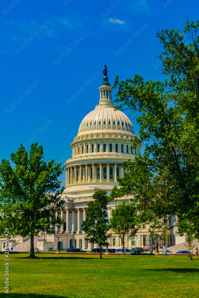 Obraz premium capital buiding