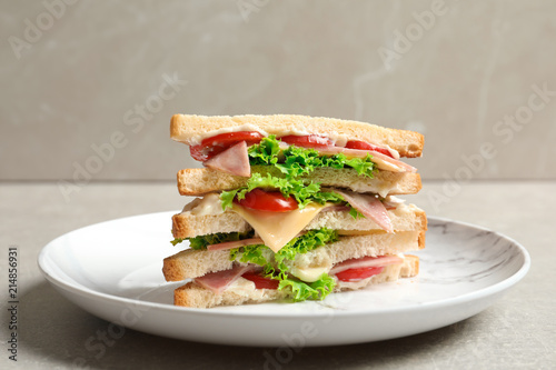 Tasty toast sandwich on plate. Wheat bread