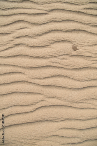 Patterns in the sand made by the wind blowing over the sandy plain