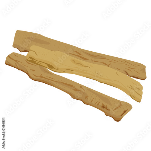 漢方や薬膳料理に使われる党参のイラスト