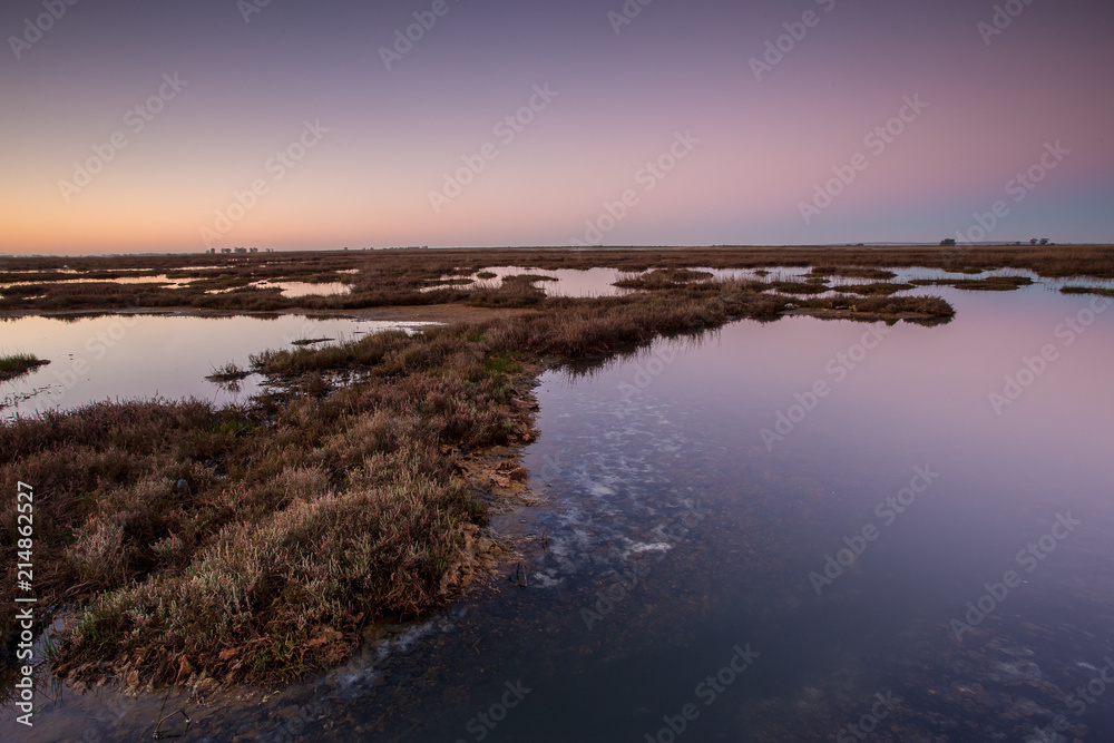 Wide angle landscape over the bergriver estuary at dawn on the west coast of south africa