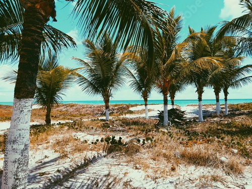 Canvastavla Processed with VSCO with p5 preset