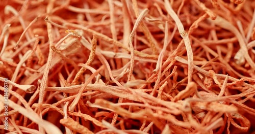 Stack of Cordyceps in rotation photo