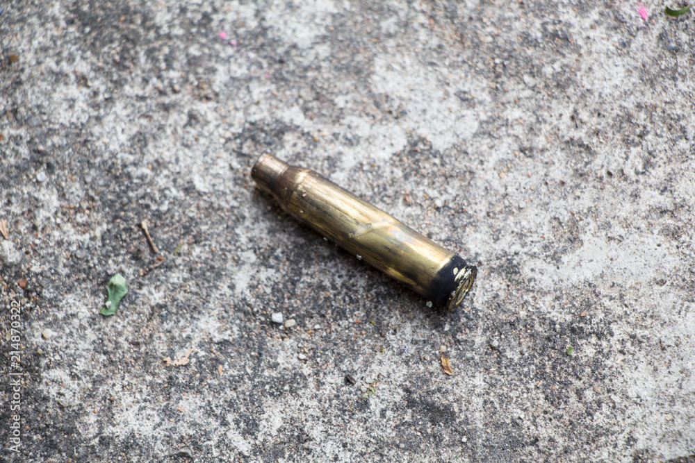 bullet shell casing