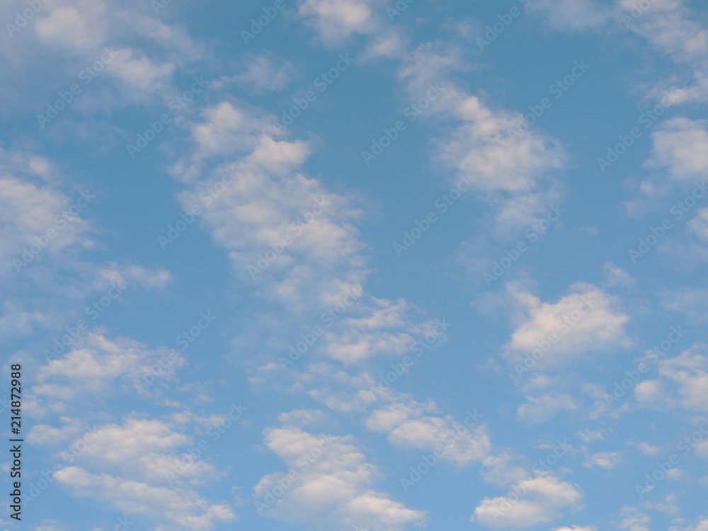 Fototapeta premium brać