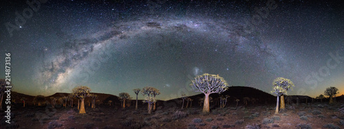 Wide angle astro photography photo with the blazing milky way over the Quiver tree forest in Nieuwoudtville in the Northern Cape of South Africa photo