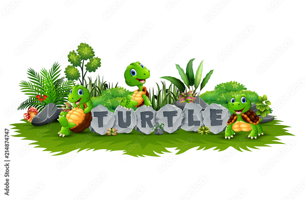 Fototapeta premium Happy three turtles cartoon playing in the garden