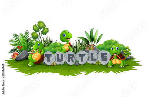Happy three turtles cartoon playing in the garden