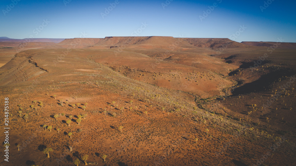 Panoramic aerial views over the quiver tree forest in nieuwoudville in the northern cape of south africa