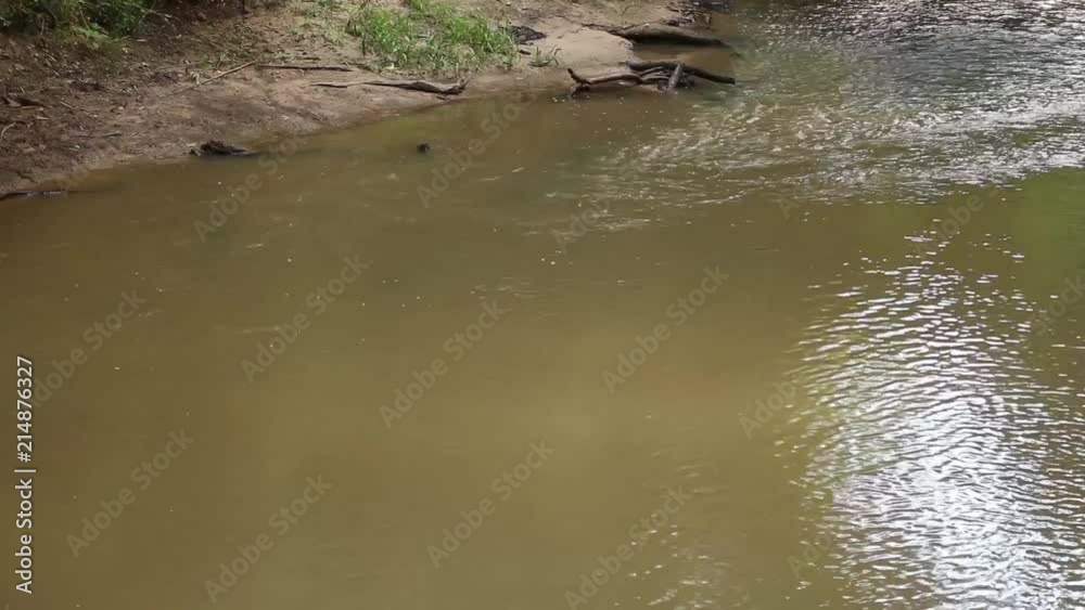 Obstructed view, that slides into a shot of the creek. Obstructed view, that slides into a shot of the creek.