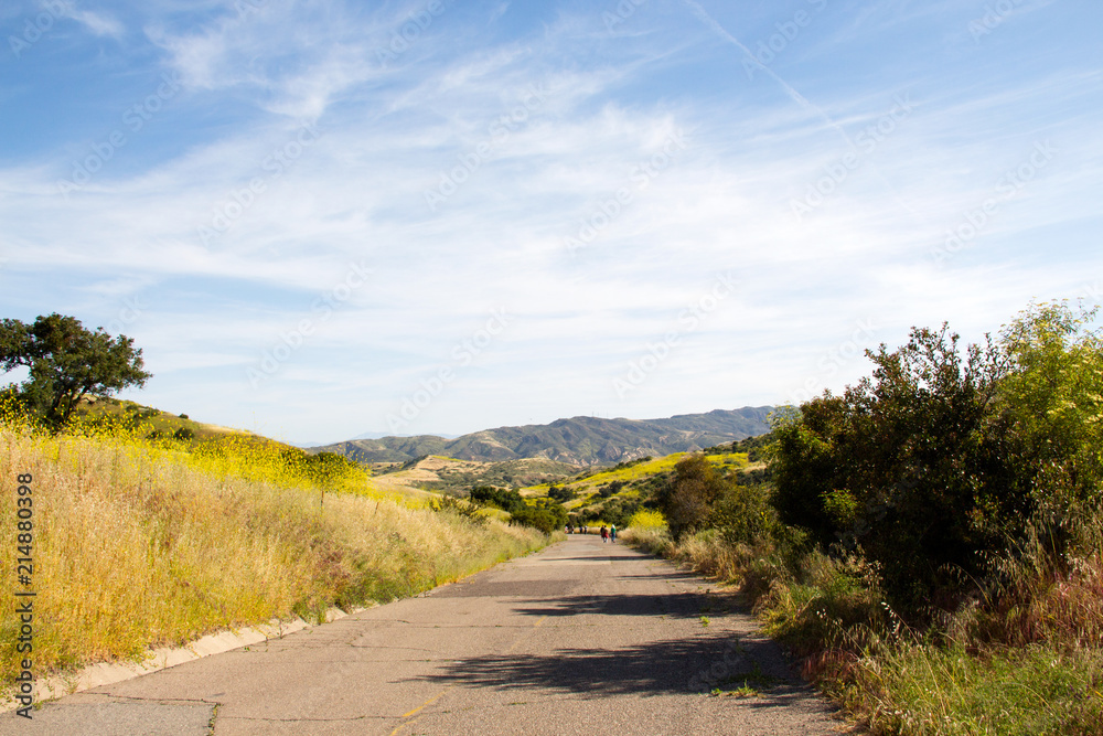 A secluded strech of paved road during a hike in Irvine Open Space Park in Southern California