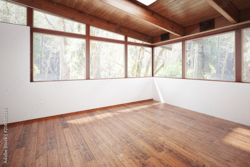 Fototapeta premium Patio-Ausbau