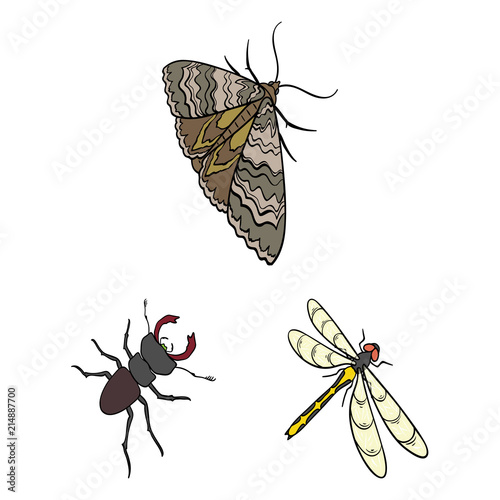 Different kinds of insects cartoon icons in set collection for design. Insect arthropod vector isometric symbol stock web illustration.