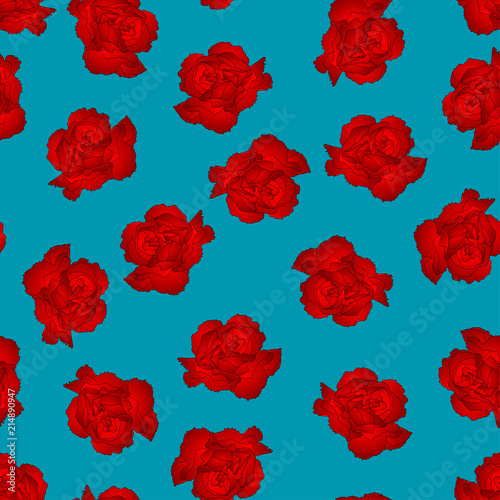 Red Carnation Flower on Blue Background