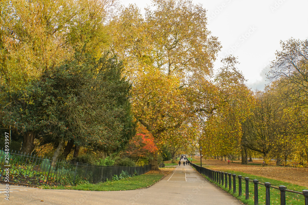 Naklejka premium concrete path along the tree in public park in autumn