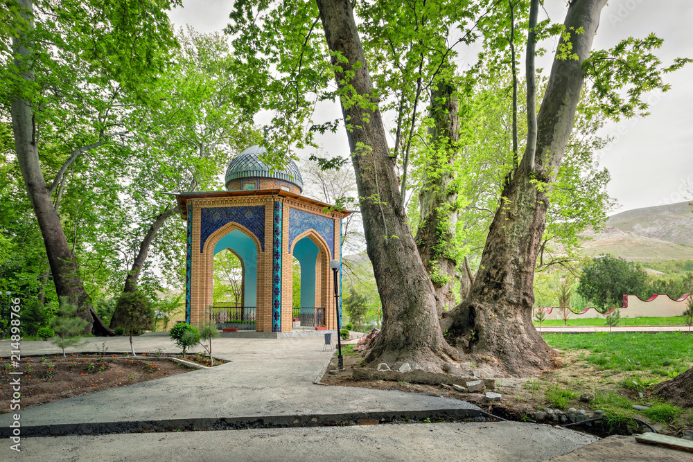 Chor-Chinor garden with unusual sycamores, the age of the oldest one is more than 1160 years. Urgut, Samarqand Region, Uzbekistan