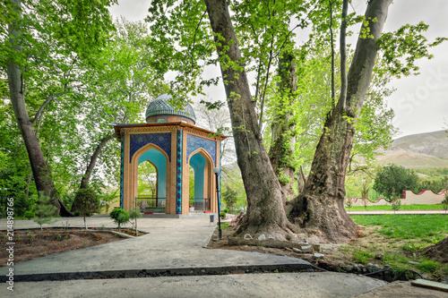 Chor-Chinor garden with unusual sycamores, the age of the oldest one is more than 1160 years. Urgut, Samarqand Region, Uzbekistan photo