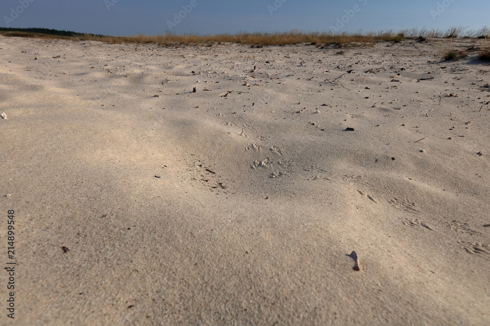 Pofałodany piasek na pustyni, na horyzoncie cienka linia suchej roślinności  Stock Photo | Adobe Stock