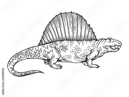 Dimetrodon dinosaur engraving vector illustration