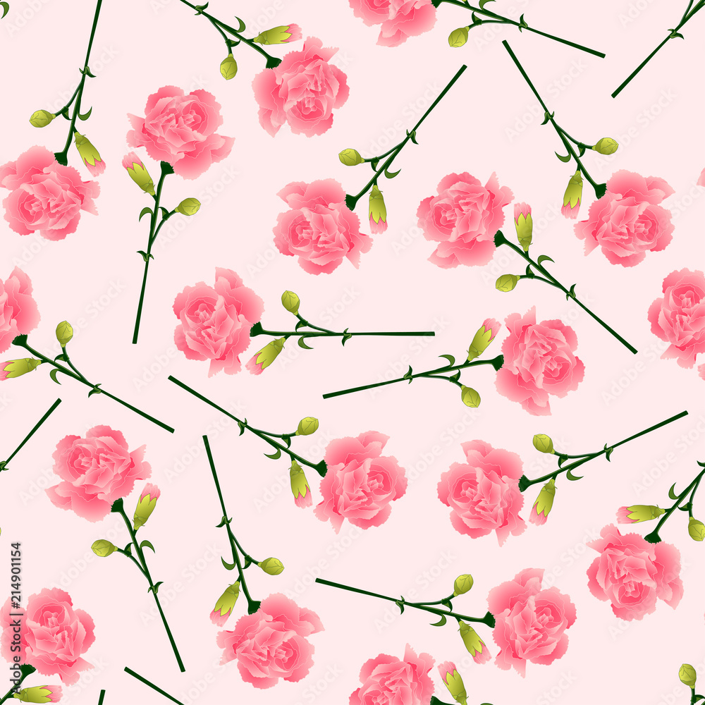 Pink Carnation Flower on Pink Background