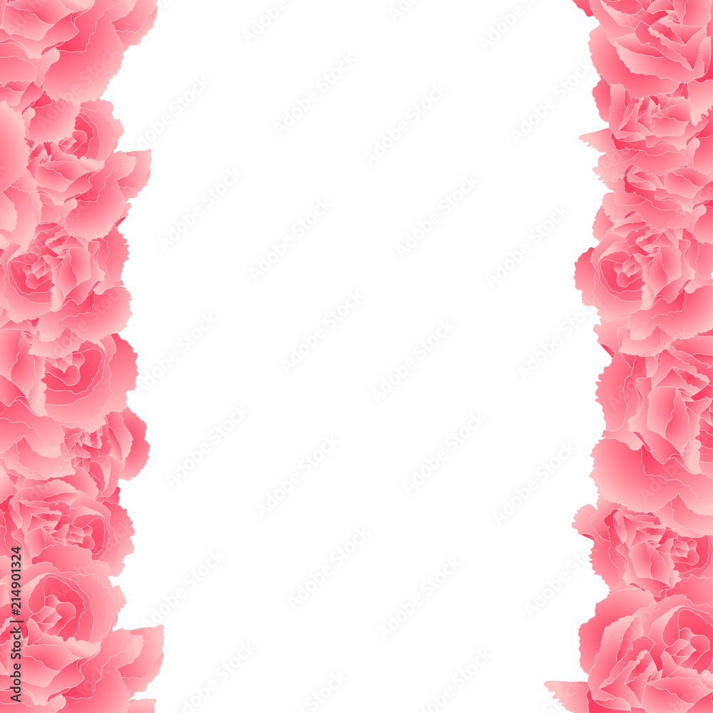 Pink Carnation Flower Border