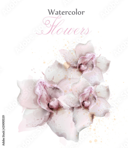 Orchid flowers watercolor isolated Vector. Beautiful floral decors