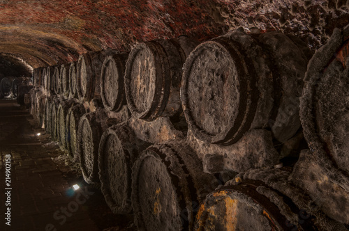 Barrels of wine in the cellar, Slovakia