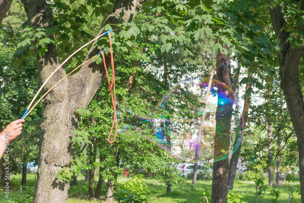 Fototapeta premium Large soap bubbles in the background of trees.