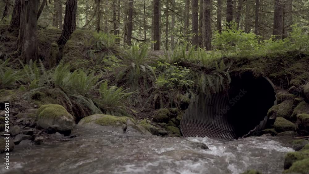 A small river in the forest flowing into a drain pipe. A small river in the forest flowing into a drain pipe.