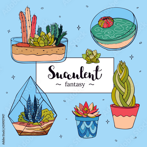 Vector hand drawn succulents. Office indoor plants set.