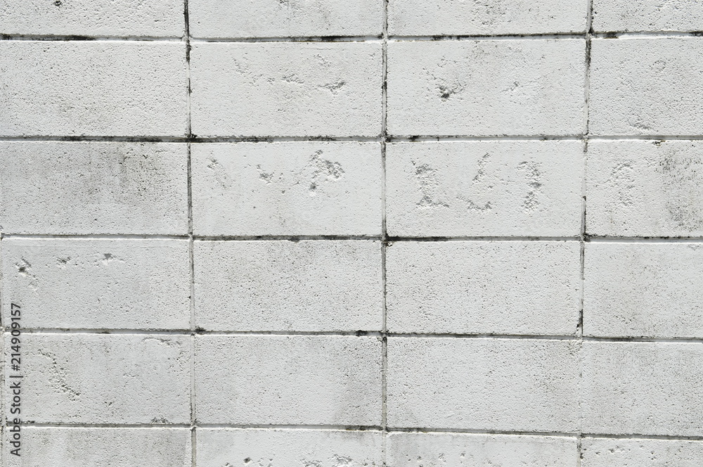 Obraz premium 白いブロック塀