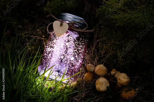 Glass Fairy Jar with Mushrooms