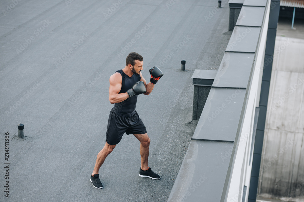Fototapeta premium high angle view of boxer training on roof