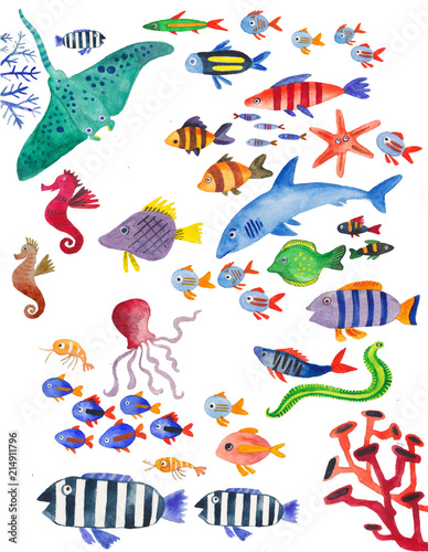Fototapeta Naklejka Na Ścianę i Meble -  watercolor collection of sea fish. Underwater world, fish, sharks, stingrays, corals