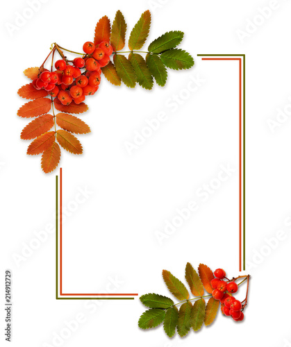 Autumn rowanberries and lea...