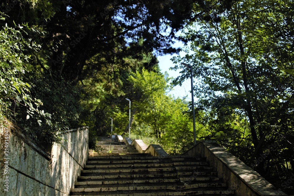 лестница в заброшенном парке