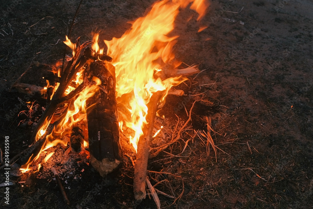 Burning bonfire of dry branches in the forest close-up. Burning bonfire of dry branches in the forest close-up.