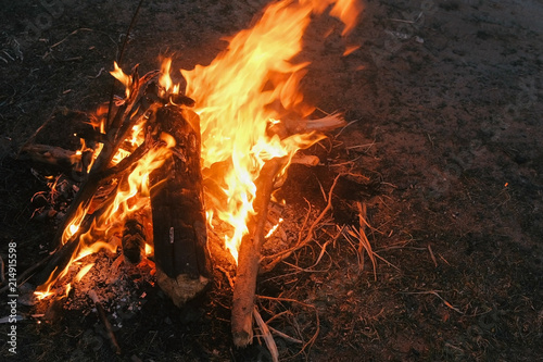 Burning bonfire of dry branches in the forest close-up.