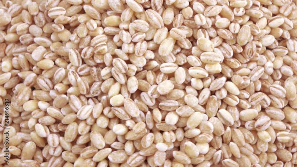 Pearl barley with pests Pearl barley with pests