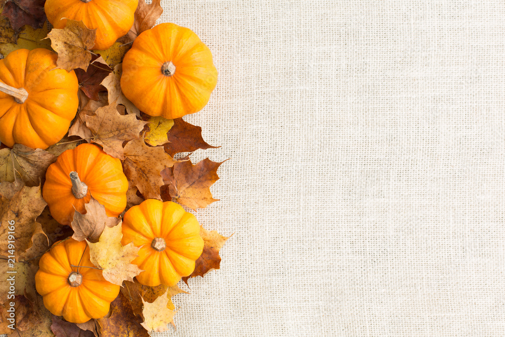 Fall themed pumpkin background autumn border Horizontal - obrazy, fototapety, plakaty 