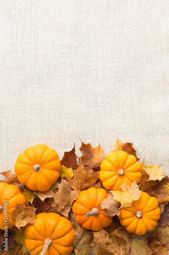 Autumn harvest pumpkin background border