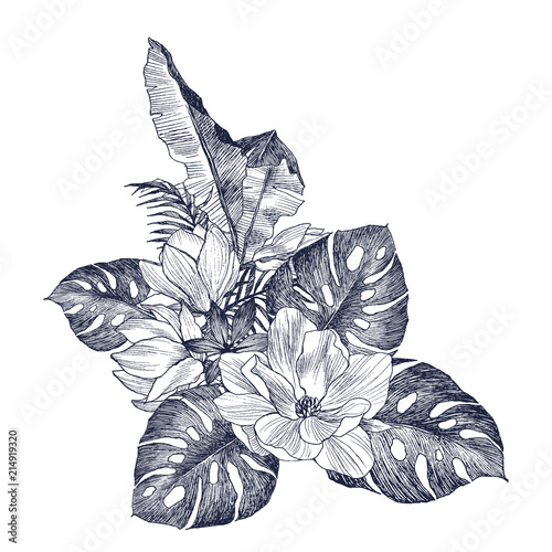 Hand drawn flowers and leaves of tropical plants palm. Exotic object floral illustration isolated on white background. High detailed botanical illustration. Magnolia, monstera