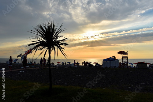 Beautiful sunset over the Black sea. Beach with palm trees in Batumi, Georgia